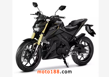 YZF-R15街车版--雅马哈全新发布M-Slaz_产品