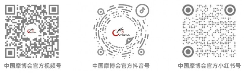 图片11