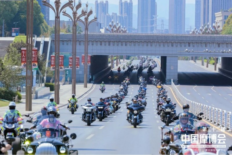 图片9
