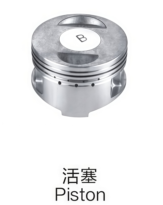 微信图片_20260318105858_567_224
